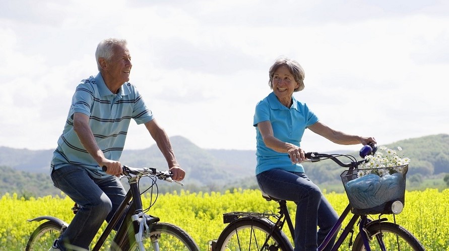Seniorenpaar machen eine Fahrradtour auf Weg neben Rapsfeld Seniorenpaar machen eine Fahrradtour auf Weg neben Rapsfeld
